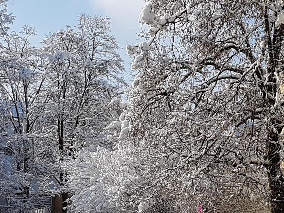 Stas-Przy Szkole Nr3 W Skawie Skawa Extérieur photo